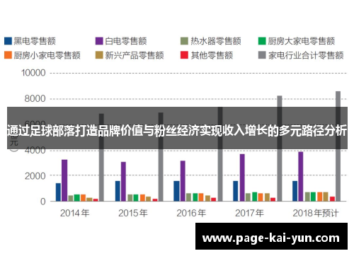 通过足球部落打造品牌价值与粉丝经济实现收入增长的多元路径分析 通过足球部落打造品牌价值与粉丝经济实现收入增长的多元路径分析