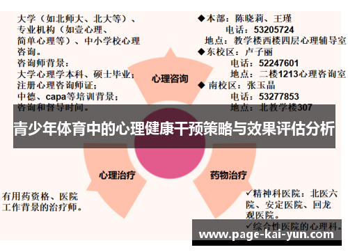 青少年体育中的心理健康干预策略与效果评估分析 青少年体育中的心理健康干预策略与效果评估分析