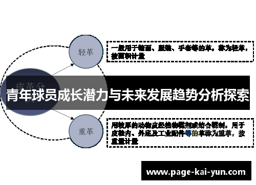 青年球员成长潜力与未来发展趋势分析探索